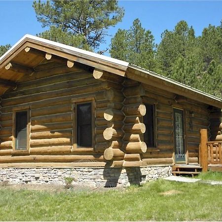 Renegade Log Cabin Custer Dış mekan fotoğraf