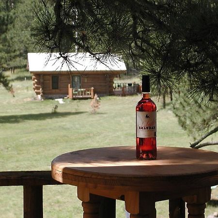 Renegade Log Cabin Custer Dış mekan fotoğraf