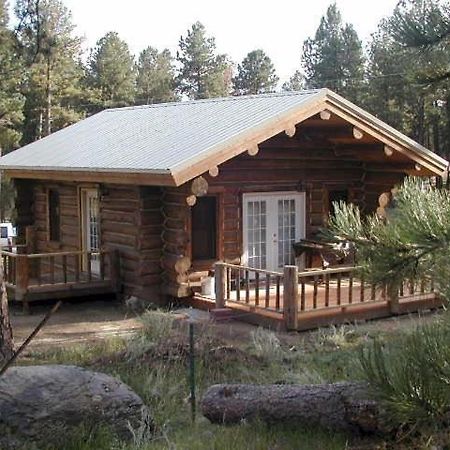 Renegade Log Cabin Custer Dış mekan fotoğraf
