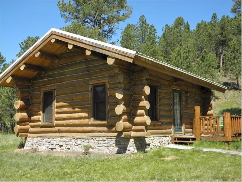 Renegade Log Cabin Custer Dış mekan fotoğraf