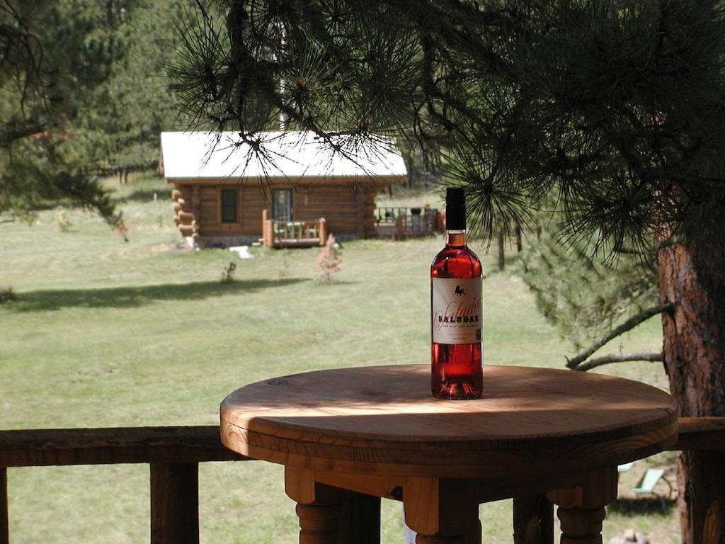 Renegade Log Cabin Custer Dış mekan fotoğraf